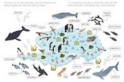 Antarctica isometric flora and fauna, an Animal Illustration by pet design shop (Thumbnail 3 of 5)