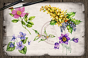 US State Flowers Part 5 Illustration, an Illustration by DioFlow (Thumbnail 2 of 4)