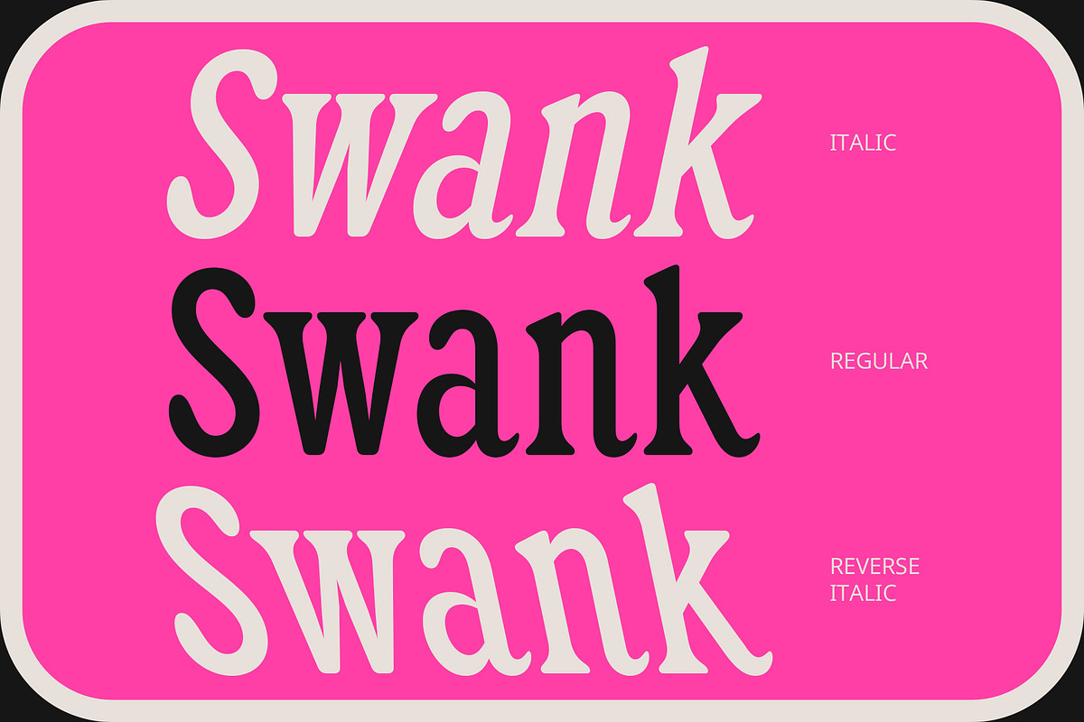 CS Lusty – Serif Font, a Serif Font by Craft Supply Co. (Photo 2 of 8)