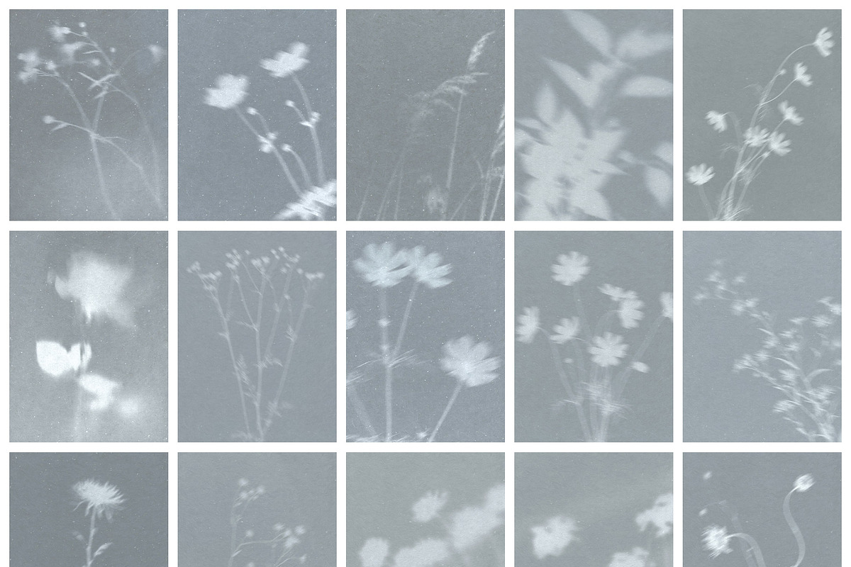 Diaphane - Blurry Floral Backgrounds, a Background Graphic by alonahaidash (Photo 13 of 16)