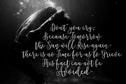 Notulen, a Script Font by groens (Thumbnail 4 of 6)