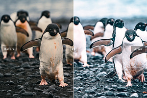 Antarctica Pro Lightroom Presets