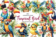 Tropical Bird Png, Jungle Bird Clipa, an Illustration by CreationArt (Thumbnail 1 of 9)