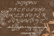 A Dusk Hour – Whimsical Typeface, a Script Font by Setara Langit CreativeStd (Thumbnail 12 of 13)