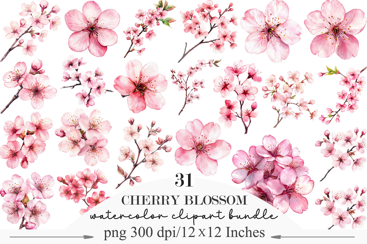 Watercolor Cherry Blossom Clipart, an Illustration by Designking (Photo 1 of 5)