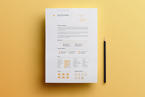 Resume Template Pack Michelangelo