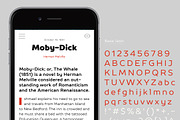 TT Prosto Sans, a Sans Serif Font by TypeType (Thumbnail 5 of 11)