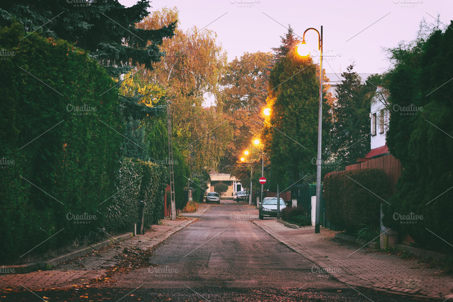 Morning street in autumn, an Abstract Photo by Juicy Photography