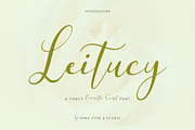 Leitucy Script Font, a Handwritten Font by Panatype™ Studio (Thumbnail 1 of 10)