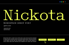 Monospace Serif Font - Nickota