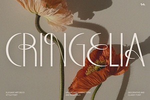 Classy Decorative Font - CRINGELIA