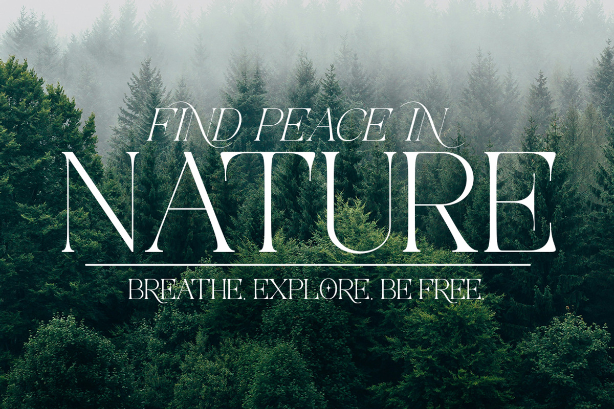 Aviluero Rasnora | 27 Font Files, a Serif Font by IM Studio (Photo 11 of 13)