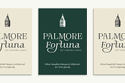 Novarick, a Serif Font by din-studio.com (Thumbnail 14 of 16)