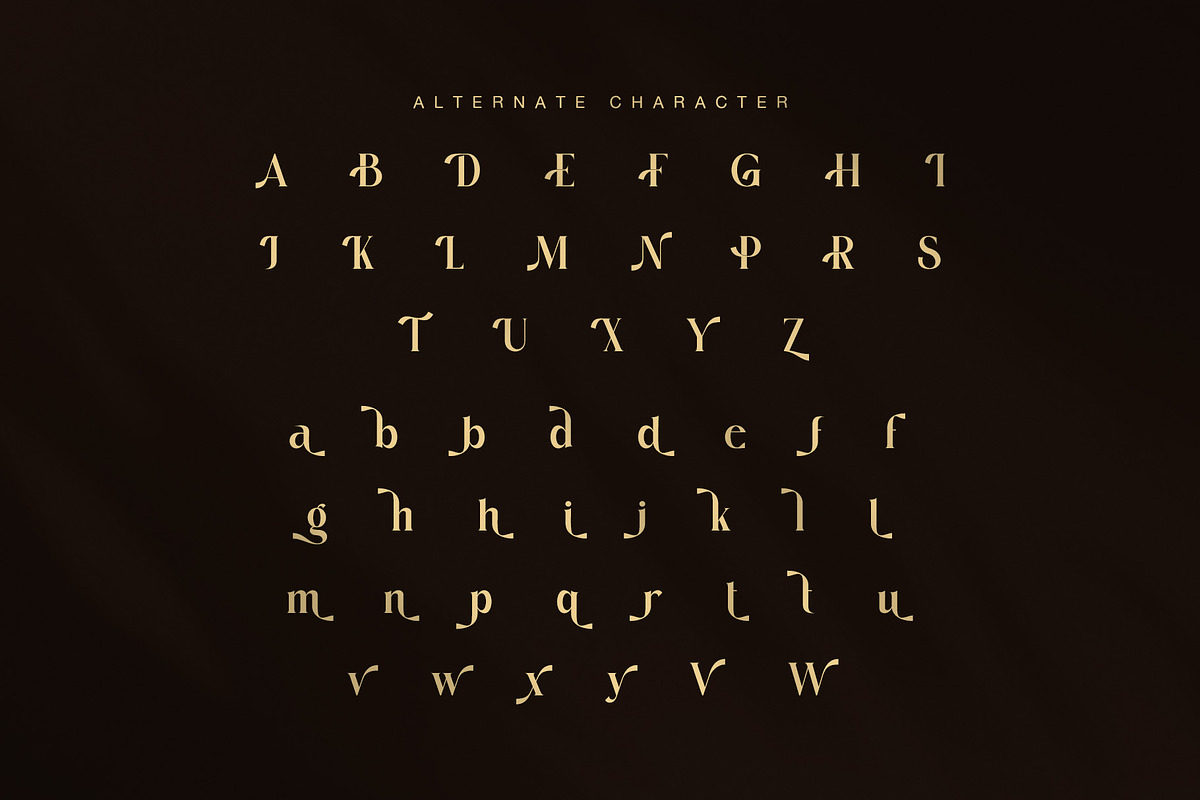 Romer Elegant Serif Font, a Serif Font by Graphicxell (Photo 8 of 8)