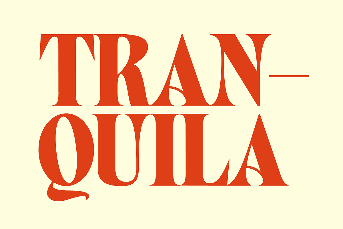 West West Condensed Serif, a Serif Font by Fenotype (Photo 17 of 18)