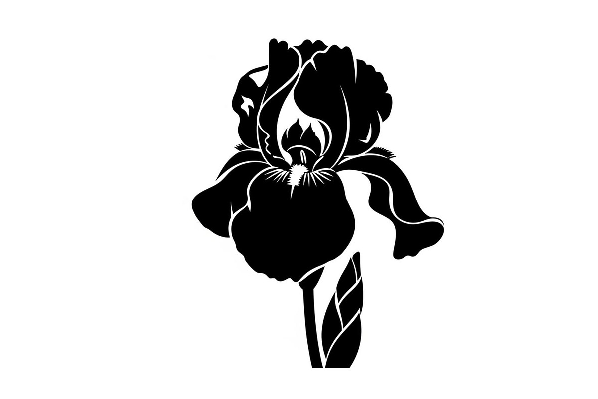 Floral Ornament Silhouette Bundle, an Illustration by BIPLOB EXPERT (Photo 47 of 51)