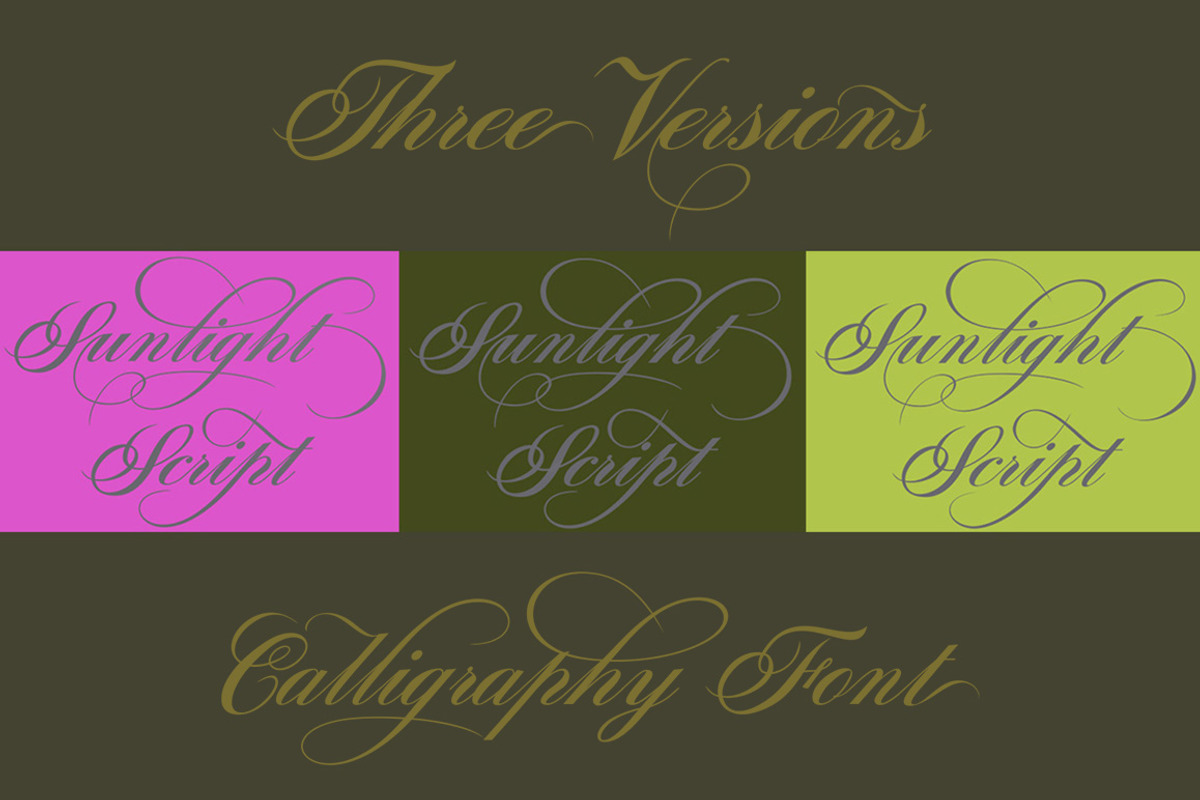 Sunlight Script, a Script Font by Typehill (Photo 9 of 11)