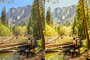 30 Camping Lightroom Collection, a Preset Add-On by 3Motional (Thumbnail 10 of 11)