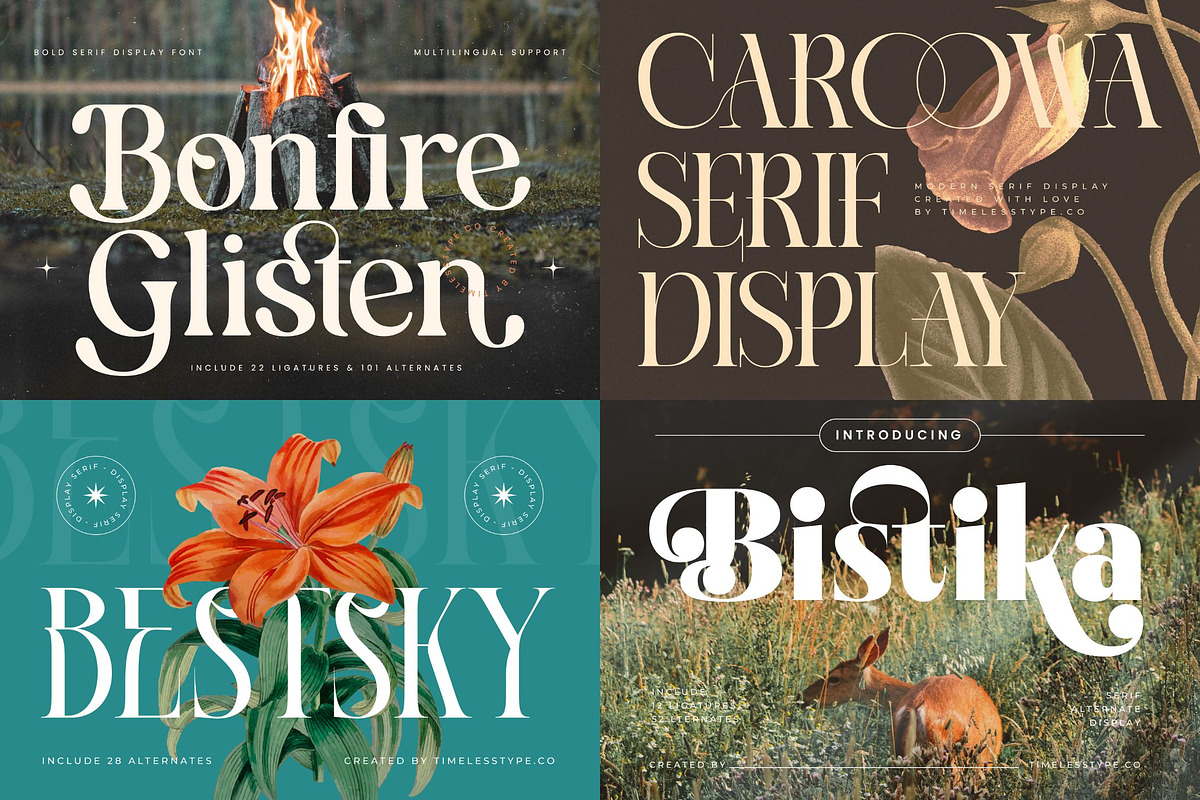 Epic Bundle 50 Fonts Explosion, a Serif Font by timelesstype.co