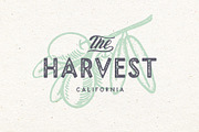 Madfish Font Family ++ EXTRAS, a Script Font by Ayca Atalay (Thumbnail 4 of 15)