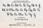 Calligraphy Handmade, a Handwritten Font by FreshTypeINK (Thumbnail 7 of 8)