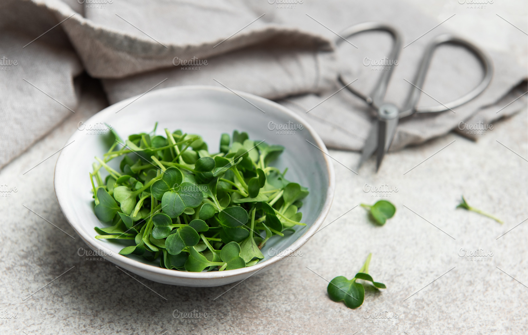 Fresh microgreens of radish ready for healthy salad in a bowl, a Food & Drink Photo by Olena Rudo