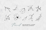 Fine Art Leaves Sketch& Illustration, a Decorative Illustration by WalaPalette (Thumbnail 2 of 5)