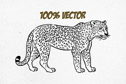 Wild Animals Line Art, an Animal Illustration by Tekuni (Thumbnail 5 of 12)