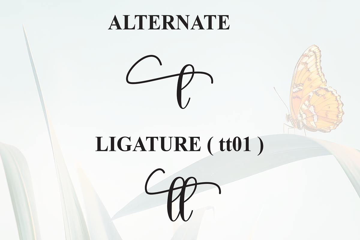 Beauty Butterfly | Script Font, a Handwritten Font by Scratchones (Photo 8 of 9)