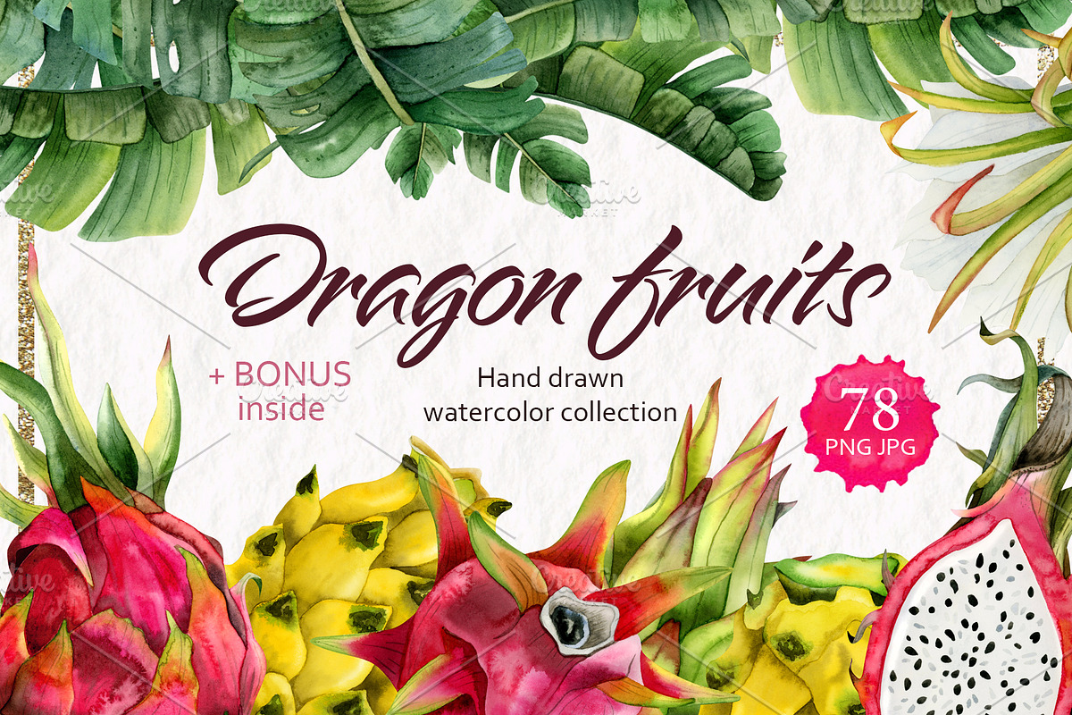 Tropical Dragon Fruit Pitaya Clipart, a Food Illustration by Elena Malgina Clipart (Photo 1 of 12)