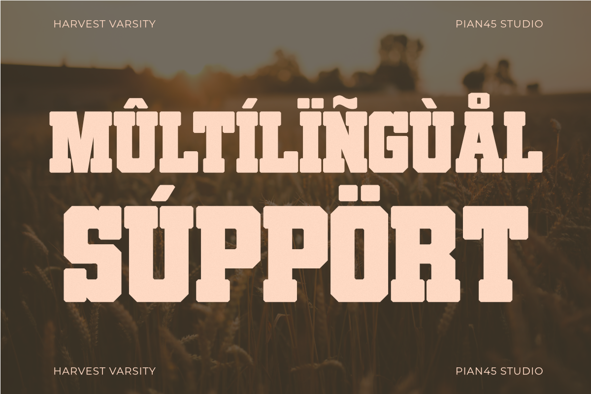 Harvest Varsity - Slab Serif Font, a Slab Serif Font by Pian45 Studio (Photo 7 of 8)