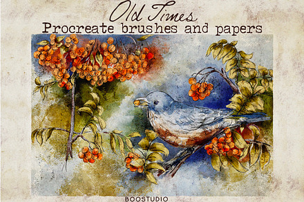 Old Times- Procreate Vintage Brushes, a Brush Add-On by BooStudio