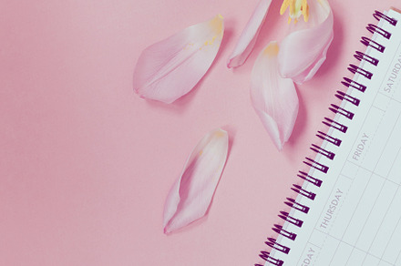 Pink tulip with open empty desk plan stock photo containing tulip and pink, a Beauty & Fashion Photo by Dvoevnore photos