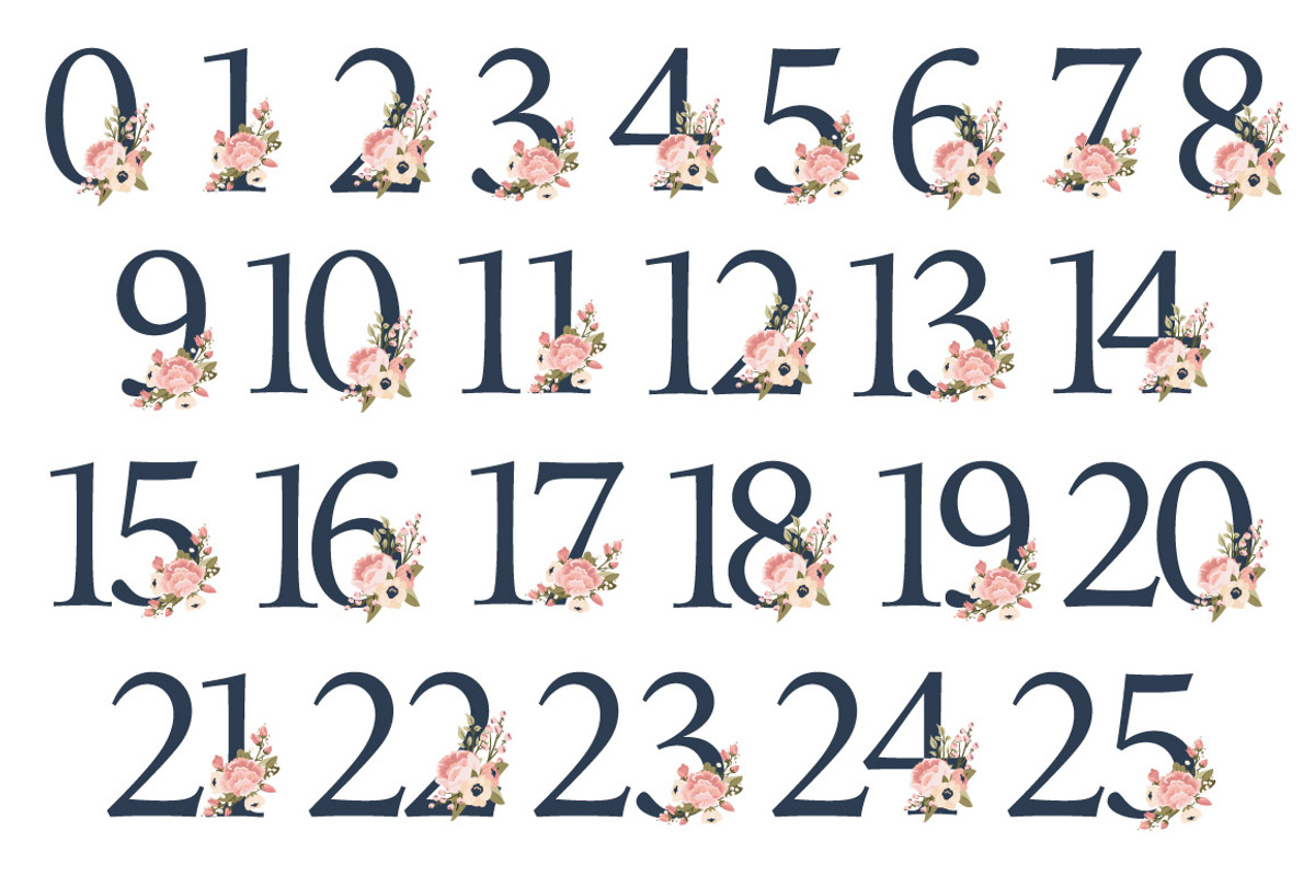 Navy & Blush Floral Numbers, an Illustration by Amanda Ilkov (Photo 5 of 5)