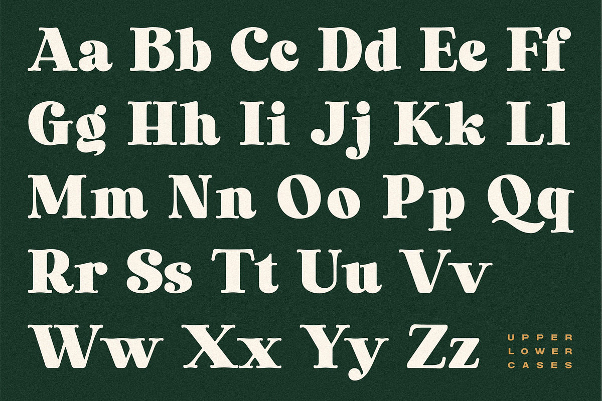 Laurens Soft Serif Display Font, a Serif Font by Letteralle Studios (Photo 10 of 10)