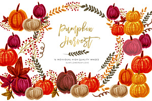 Pumpkin Harvest Clipart