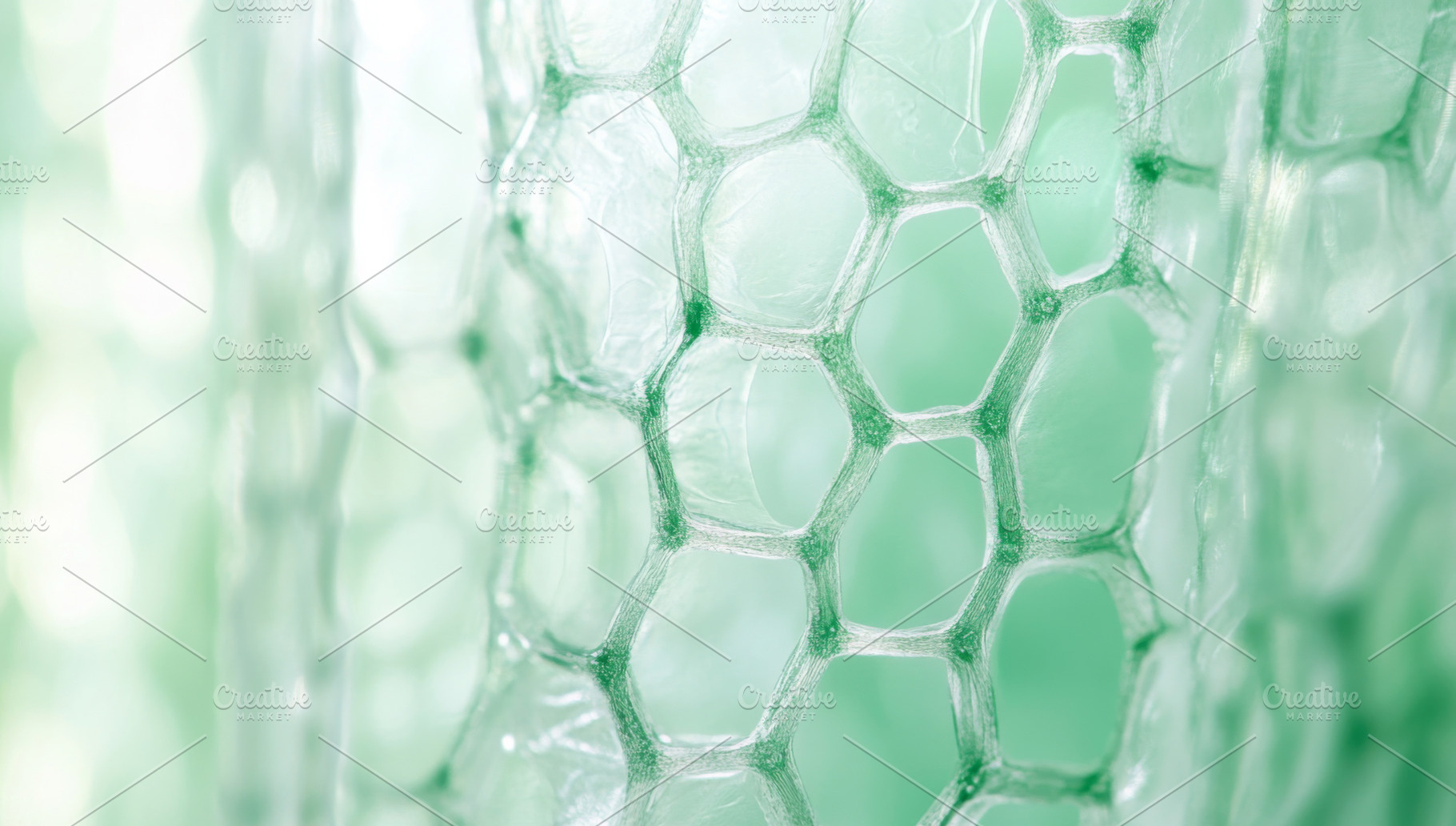 Close-up of green bubble wrap textur, a Photo by Dvoevnore photos