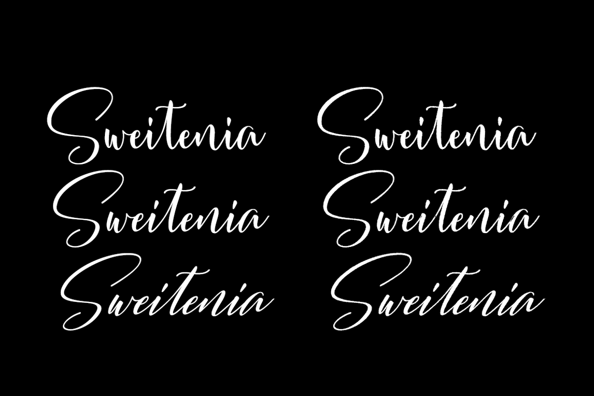 Sweitenia 6 Styles preview 3