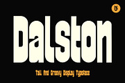 Dalston, a Serif Font by Rasgood (Thumbnail 1 of 6)