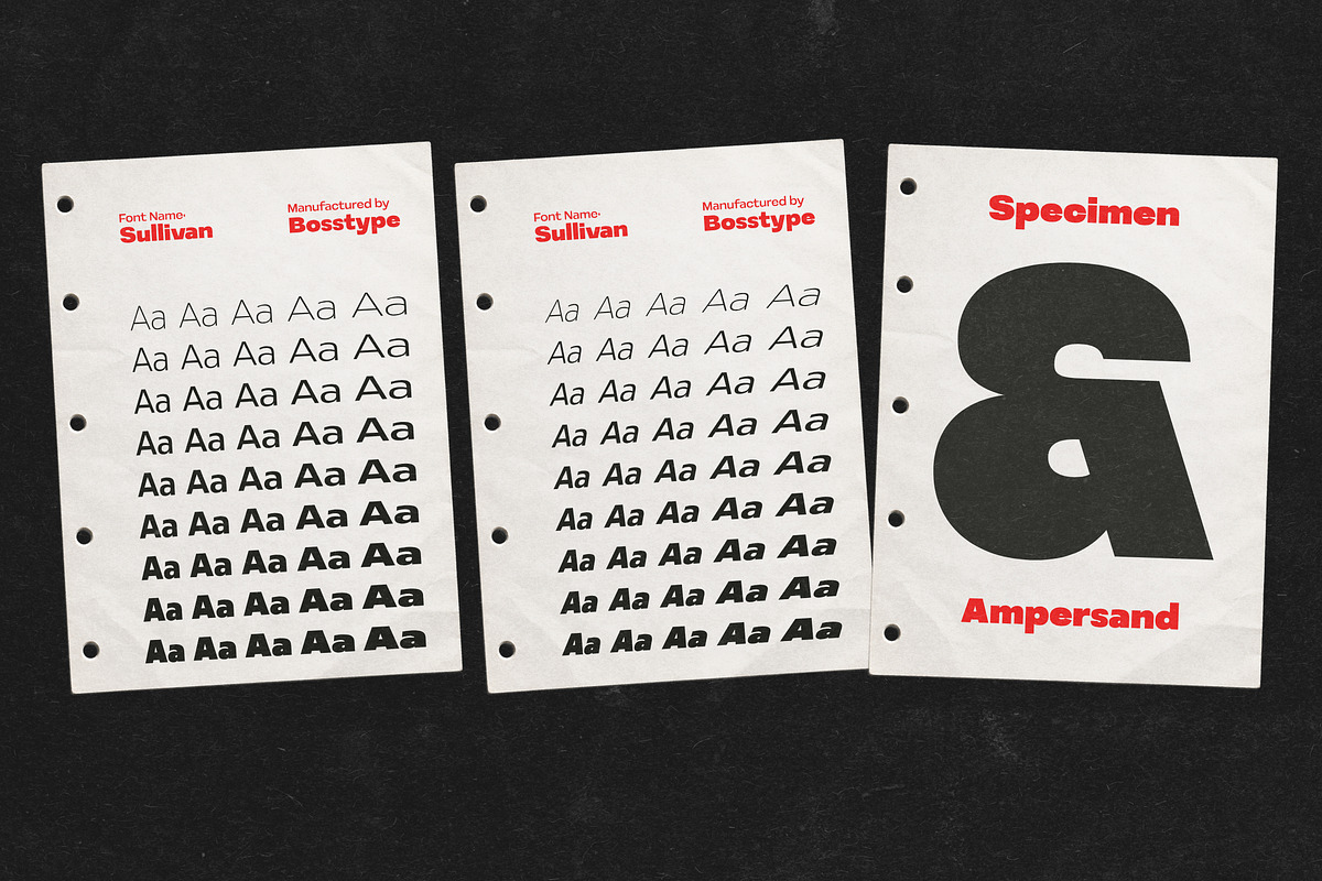 Sullivan | 91 Style Font, a Sans Serif Font by Bosstype Studio (Photo 14 of 15)