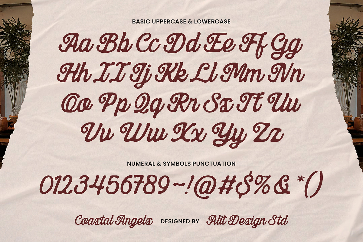 Coastal Angels Typeface, a Script Font by alit design (Photo 2 of 17)