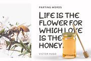 Vosena, a Handwritten Font by Gatype (Thumbnail 11 of 12)