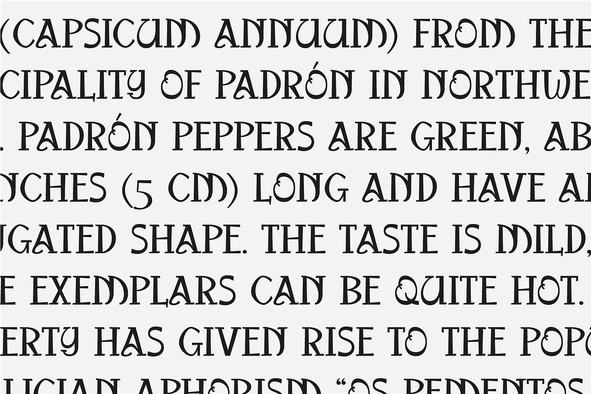 Kanwang Wild Serif, a Serif Font by PeanutButter Type (Photo 3 of 6)