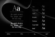 Lunar Type - Family Serif Font, a Serif Font by Flawless And Co (Thumbnail 5 of 10)