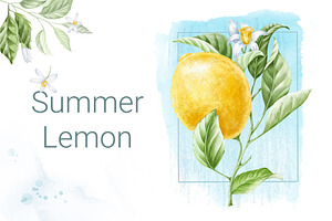 Summer Lemon