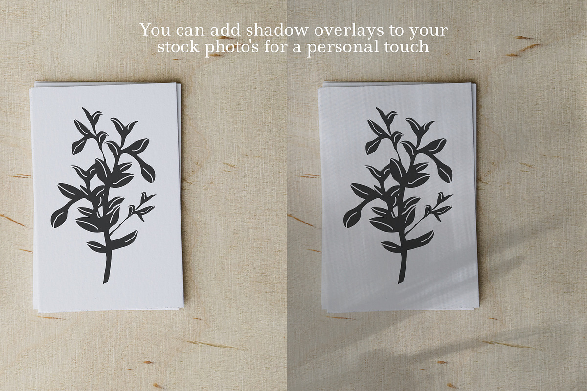 Natural Shadow Overlays & Background, a Texture Graphic by Feather & Sage Design (Photo 6 of 9)