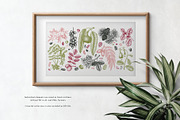 Nuts Hand-Drawn Vector Illustrations, a Food Illustration by Yevheniia (Thumbnail 2 of 15)