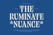 Ruminate Nuance - Classic Serif, a Serif Font by Variatype (Thumbnail 1 of 9)