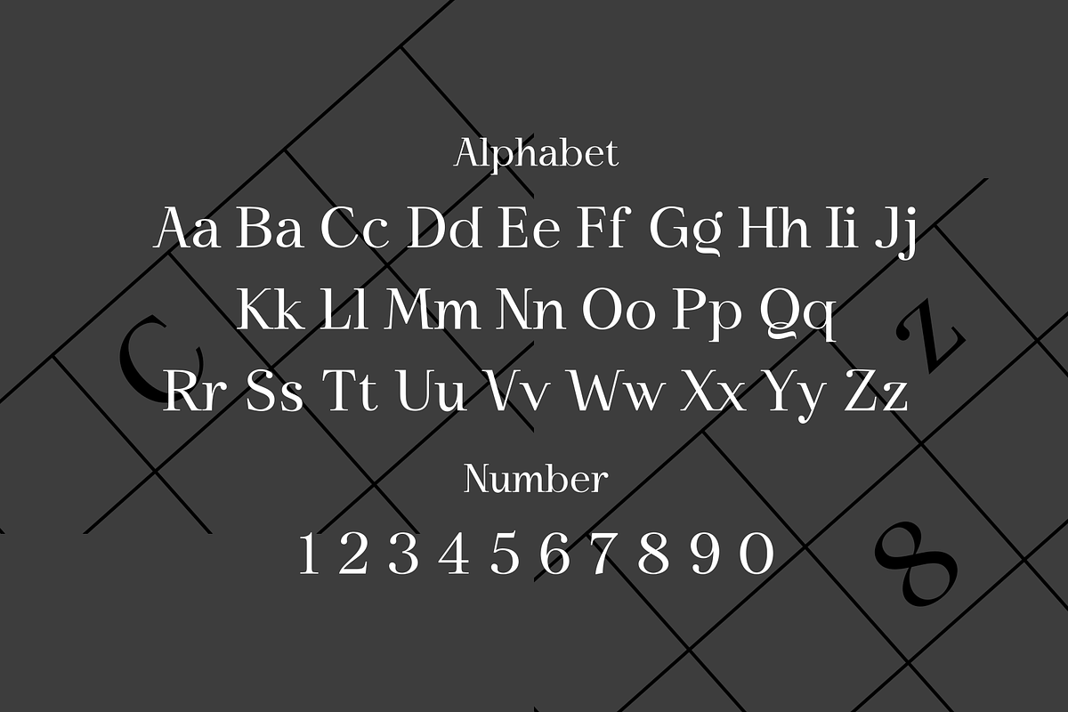 Shogi - Modern Serif Typeface, a Serif Font by Attractype (Photo 6 of 8)