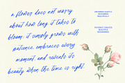 Tender Natural Handwritten Ink Font, a Script Font by Letterena Studios Script (Thumbnail 4 of 10)
